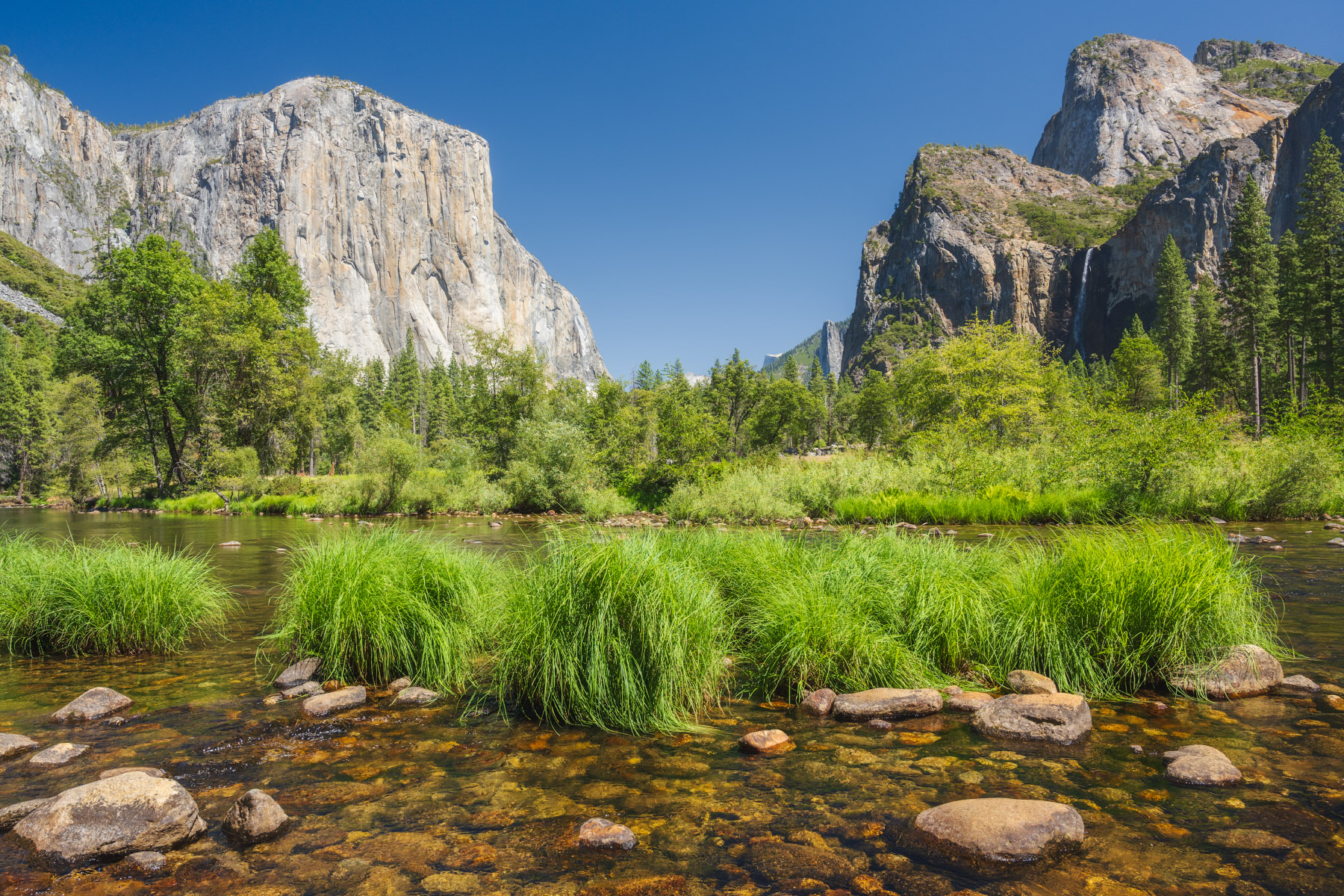 El Capitan and the Three Brothers overlook Yosemite Valley on a clear blue sky day.