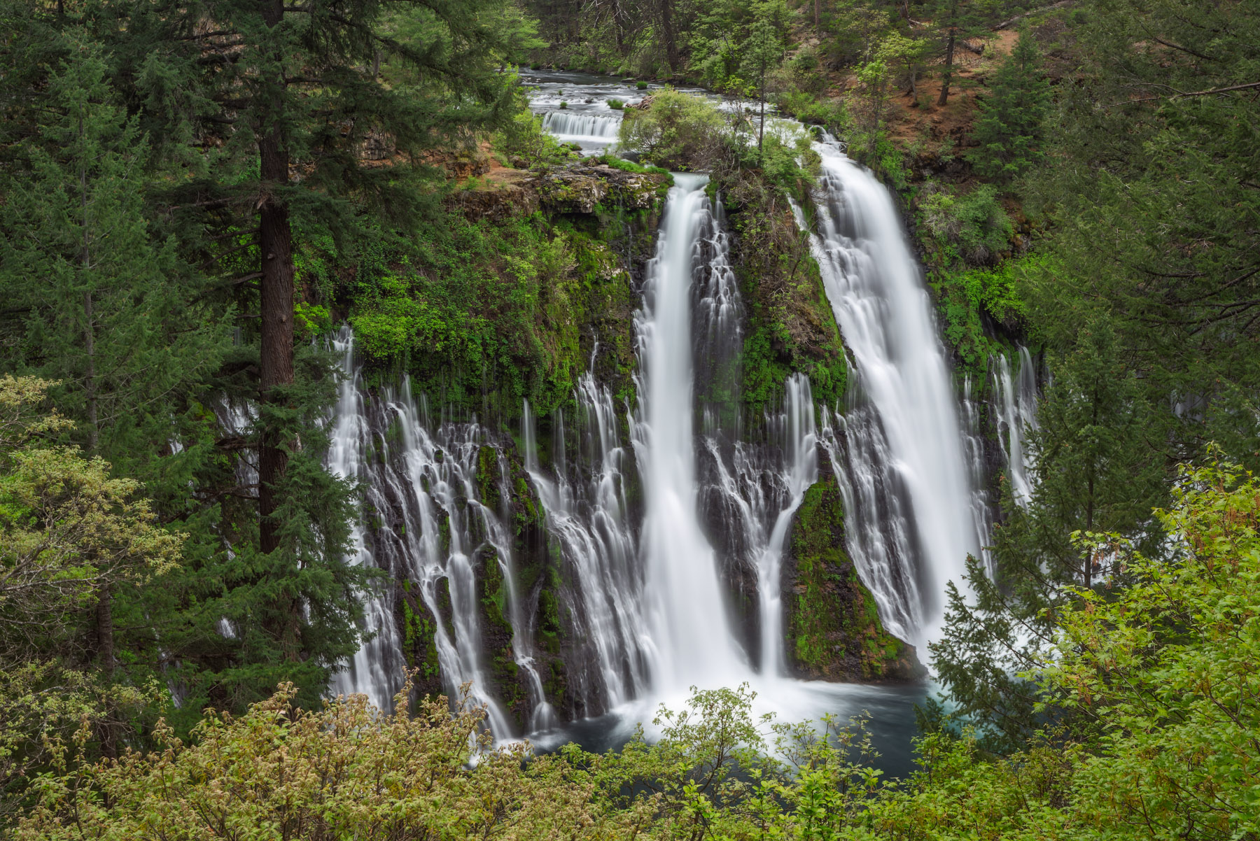 Teddy's Wonder Burney Falls in California with cascading water flowing over moss-covered cliffs into a creek below