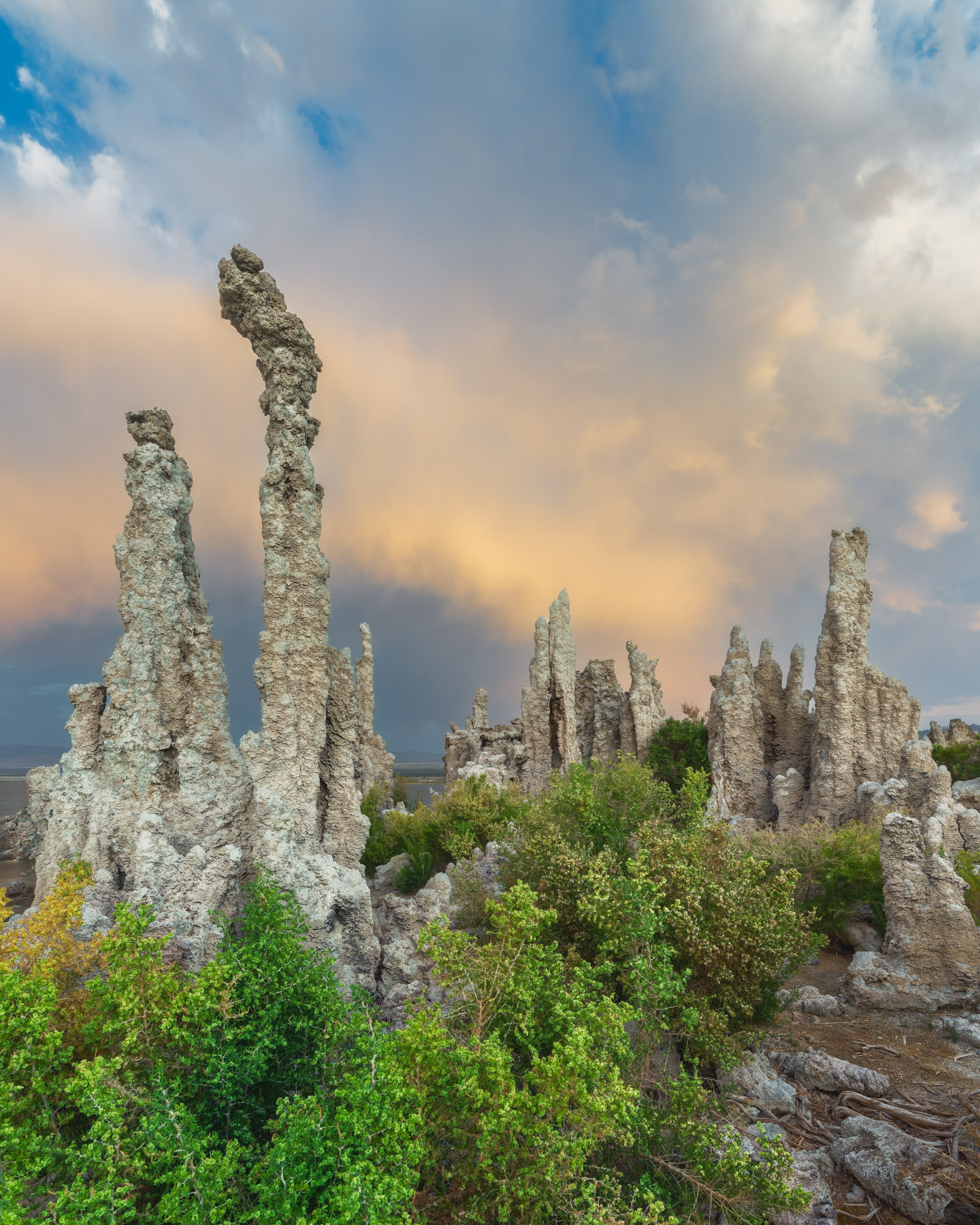 Magical Mono Lake in California with tufa formations rising from the lake and shrubs in the foreground
