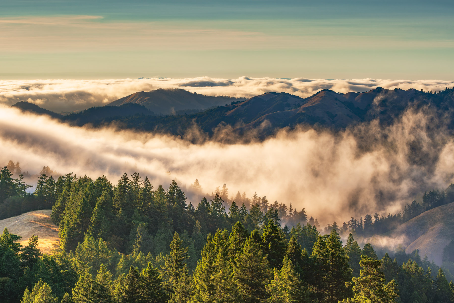 Sunset and fog on Mount Tamalpais in Marin County, California.