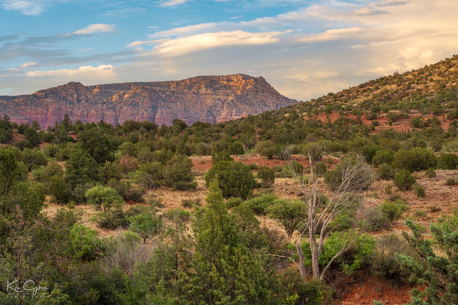 A canyon in Sedona, Arizona seen from Red Rock Scenic Byway.
