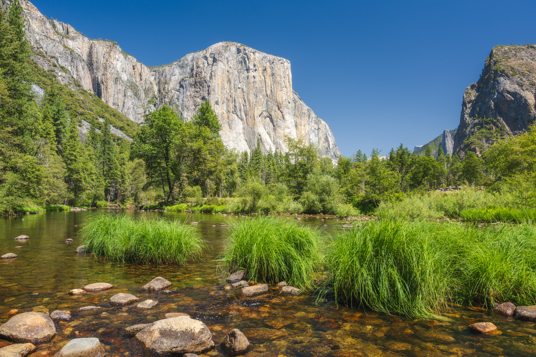 El Capitan and clear blue skies overlooking Yosemite Valley and the Merced River.