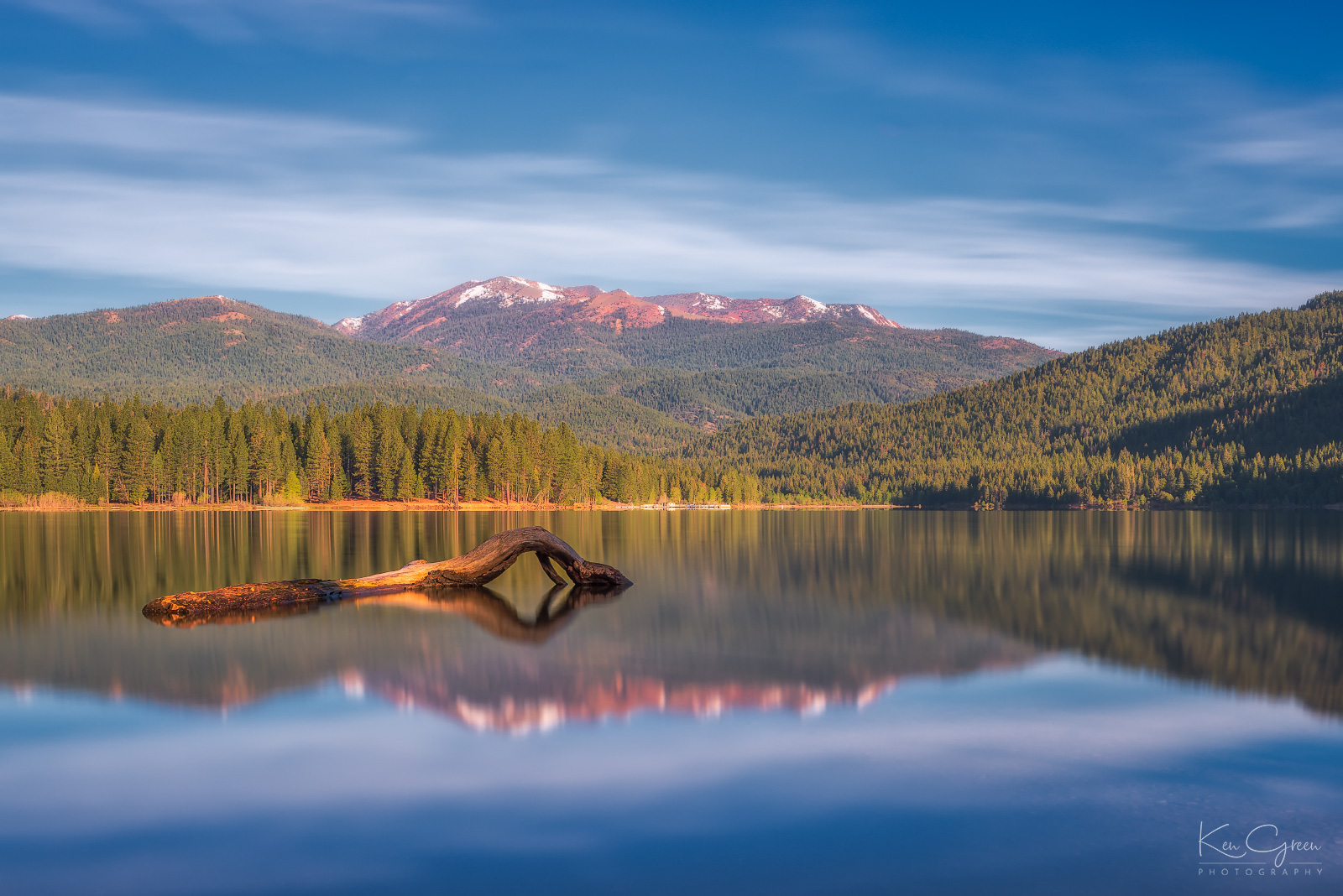 Drift wood floating on Lake Siskiyou with Shasta-Trinity National Forest in the background.